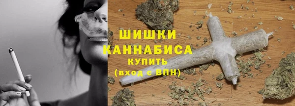 спайс Ельня