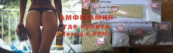 гидра Елизово
