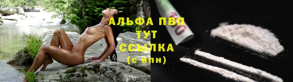 бошки Дмитровск