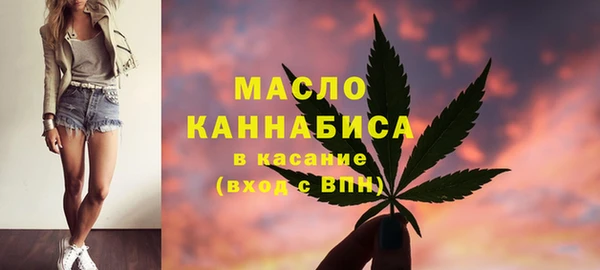 гидра Елизово