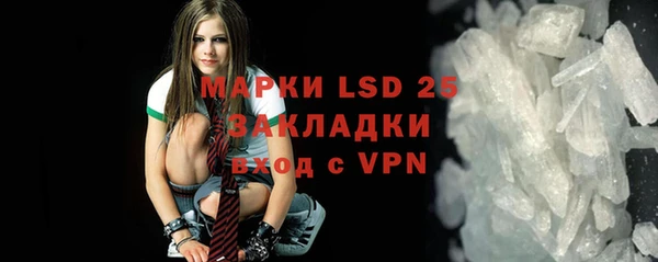 гидра Елизово