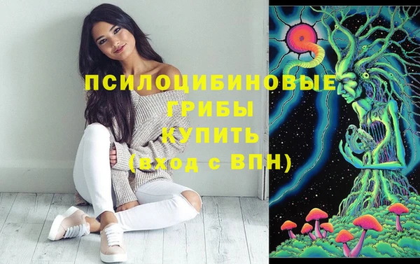спайс Ельня