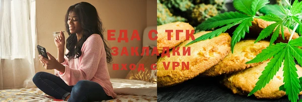гидра Елизово