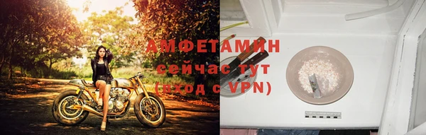 гидра Елизово