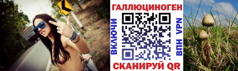 Купить где  Губкинский  Галлюциногенные грибы прущие грибы 